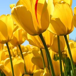 partygi39421814's profile picture. I like to party that's why my nick name is party girl I like to have fun I got two jobs and I do not like to stay at home.