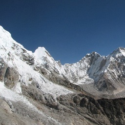 impinthegarden's profile picture. 