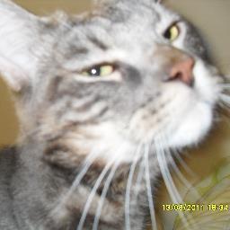 http://t.co/sIsnDM9peV