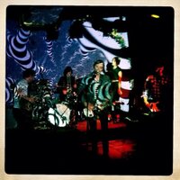The Quivers (@thequiversmusic) 's Twitter Profile