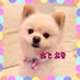 Reo♡mama (@smiley0617) Twitter profile photo Reo♡mama (@smiley0617) Twitter profile photo