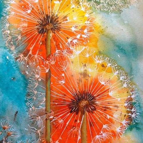 1QuikSloth's profile picture. hi im anonymous.