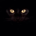 Sharon Gallo - @sgallo333 - Twitter