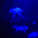 Lindsay Burt - @burt_lindsay - Twitter