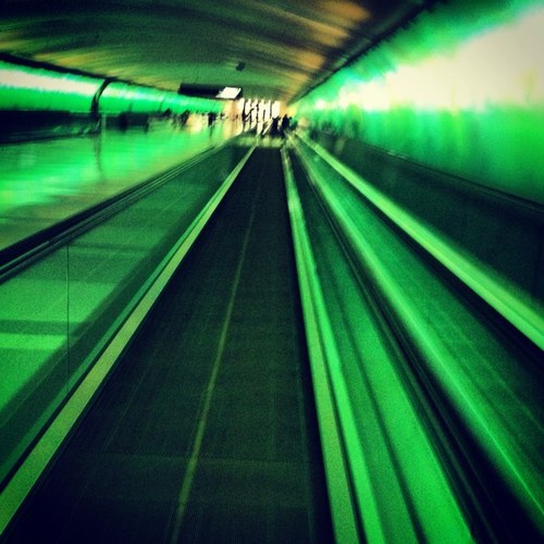 newterrabrian's profile picture. Passionate about WATER; Friend, father, professional golf cart driver, eater of fine pizza, drinker of dark beers, hates moving, loves spinach and the GATORS!