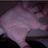 JAlvar2000's profile image