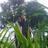 dzulfadlirizal's profile image