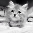 Sam Candelaria - @seehcret_sam - Twitter