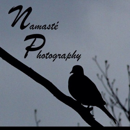 I honor the place in you which is of love, of truth, of light, and of peace...we are ONE 
bookings: namastephotography@hotmail.com
