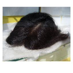 tralphaz_noise's profile picture. 