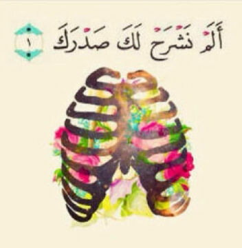 صدقه جارية للمرحومه جدتي ( رفعه العتيبي ) ♥♥♥.            ‏القران كامل ؛ http://t.co/qQlVSMBOrX ..