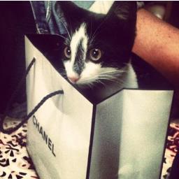 CRenalds's profile picture. Bring it on!