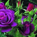 Cindy Norman - @CINDYMICHELLE72 - Twitter