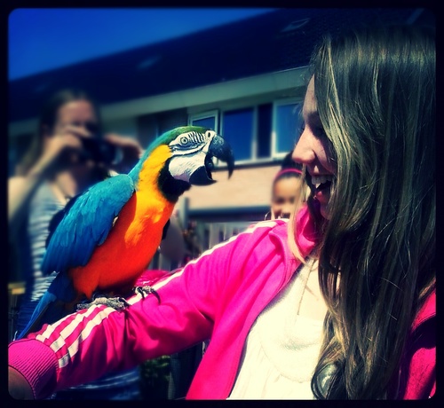 heeeeii, my #1 Eelke BFF ♡ 13y ♡ copernicus ♡ American/Dutch girl ♡ love; music, America, friends&family ♡ inst; _victoria_x ♡ love! ♡ xx