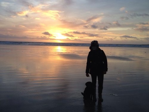Anglesey living, owner of dogs and a lion/cat