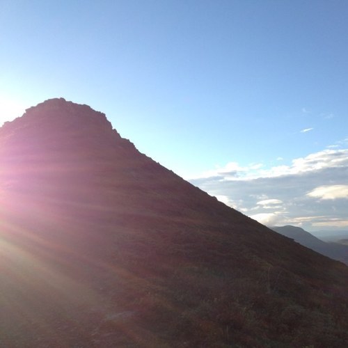 AnnCollyer's profile picture. 