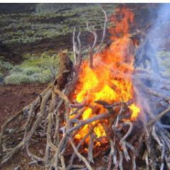 We arrange Shamanic-Vision-Quests to the mystic volcanic island of El Hierro - Canary Islands - Spain. 
Joachim Fischer & Claudia Rosenhahn