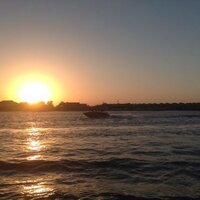 saeed alzahaf (@salzahaf) 's Twitter Profile