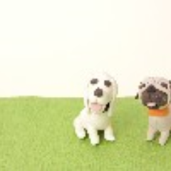 ブログもボチボチ。。更新してます＾＾
よろしくお願いします＾＾