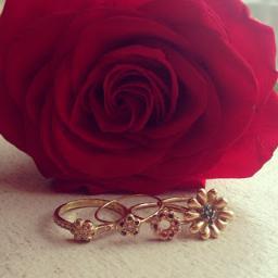 AshleyBeckons's profile picture. 