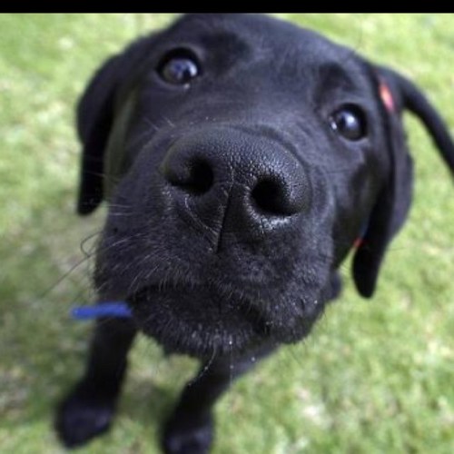 bret428's profile picture. 