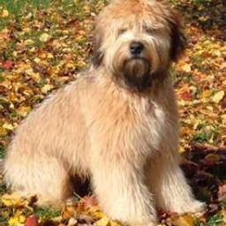 jordib9's profile picture. 