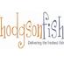 Hodgson Fish (@hodgsonfish) Twitter profile photo Hodgson Fish (@hodgsonfish) Twitter profile photo