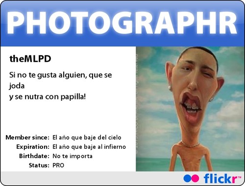 theMLPD's profile picture. Instructor de vuelo con dragones, gameplays, subnormalidades, fus-ro-dahs y mucho mas