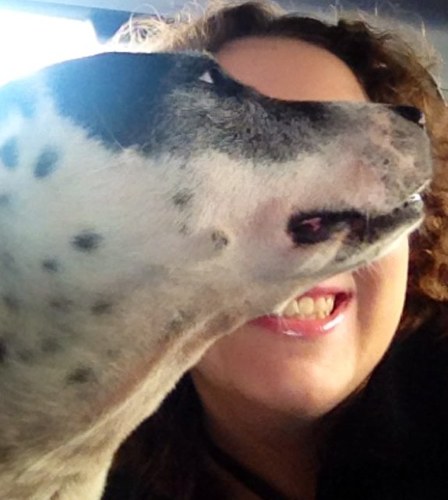 JaxHeldoorn's profile picture. 