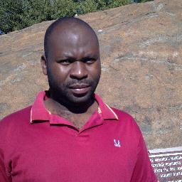 Executive Director of Tall Tree Envision (PTY )LTD. 
Founder of MCTV
Executive Director of N'weretinews