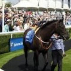 Selective horse racing bets sent Direct from the Course before the off.