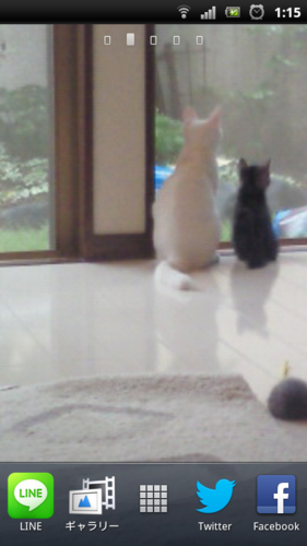 k_dogs_info's profile picture. 一軒家ドッグサロンです。 地元のお客さまに支えられ、シニア犬の施術を中心に、犬たちが健康で元気に暮らせるようお手伝いできたらと考えてます。なトリミングだではなく健康と美容のトータルケアを目指しています。