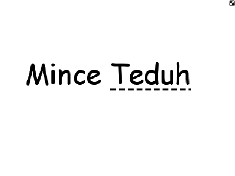 MinceTeduh Profile Picture