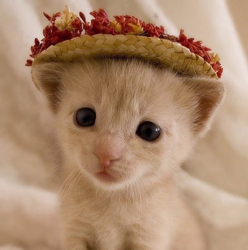 Rudsyy's profile picture. Wassup.