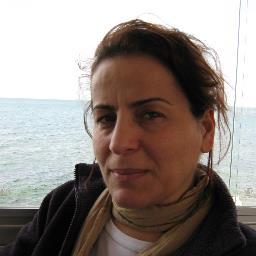 Aysesaricelayir's profile picture. 