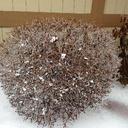 Tracy Baumgart - @tracy_baumgart - Twitter