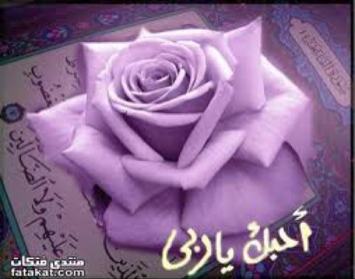 أعتز بديني وأعشق قرآني...
