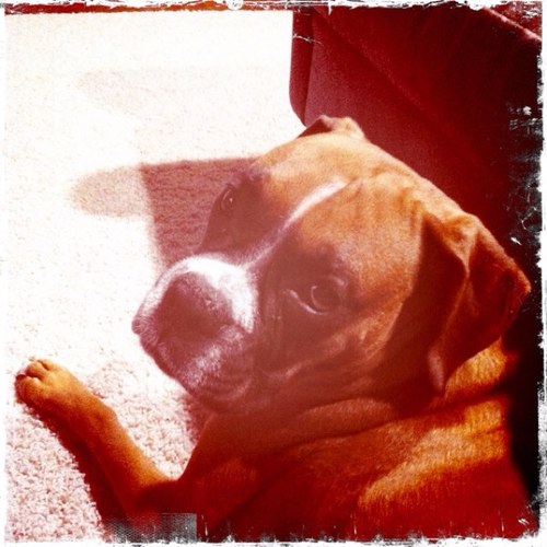lexingtonsweetp's profile picture. 