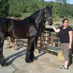 Czech Republik,Hulín,I love horses,favorite movie Cool as Ice