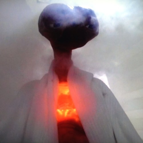 PeterAtLaw's profile picture. Delaware