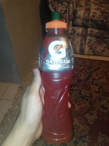 drake24life's profile picture. unicorn!!!