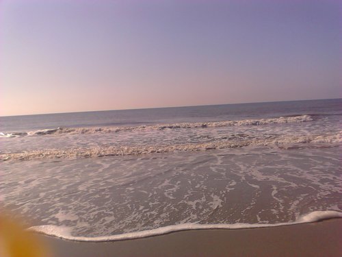 delaneya123's profile picture. 