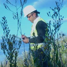 Ingeniero Agrónomo, Proyectos, Informes, Valoraciones, Tramitación de Subvenciones.  Exportación Agroalimentaria...