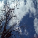 Ira Ingram - @IraIngram2 - Twitter