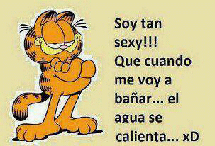 LaurischikisdF's profile picture. Soy alegre me gustan las cosas bn claras soy 0 problematica si me hablan les hablo me gusta mucho la musica las comidas rapidas y hablar con mi mama yo la amo!!