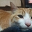 nashilove090707's profile image