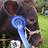 KingsbridgeShow's profile image