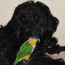 Faye Hammer - @fayevs1 - Twitter