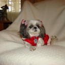 Ella Lilly - @BLillde - Twitter