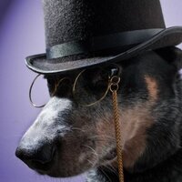 KARL KAIM (@zentydokomun) 's Twitter Profile